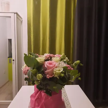 Apartman Lona Flat Ljubljana
